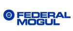 federal mogul